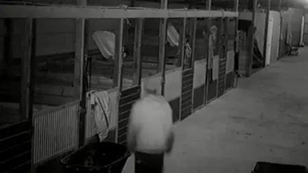Zoofilul care a făcut o pasiune pentru sexul cu ponei, surprins de o cameră de supraveghere VIDEO