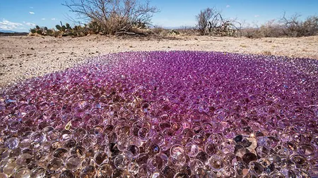 Fenomen bizar în Arizona: Sfere mov misterioase, apărute în mijlocul deşertului FOTO şi VIDEO