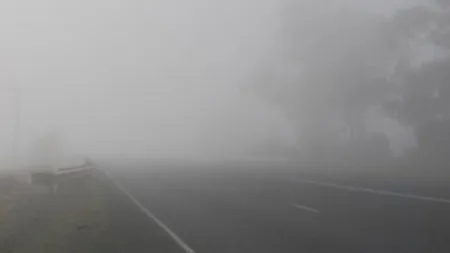 COD GALBEN de ceaţă în Moldova, Maramureş şi Transilvania