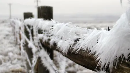 Cea mai scăzută temperatură din ţară, minus 20,4 grade Celsius, la Întorsura Buzăului