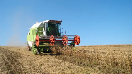 Ministrul Agriculturii: Foarte mulţi tineri vor să se mute de la oraş în mediul rural