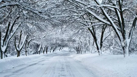 Avertizare meteo: Va ninge în toată ţara, inclusiv în Bucureşti, până miercuri