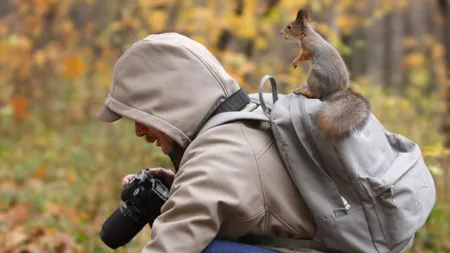 Fotografii inedite: Animale surprinse în momente potrivite GALERIE FOTO