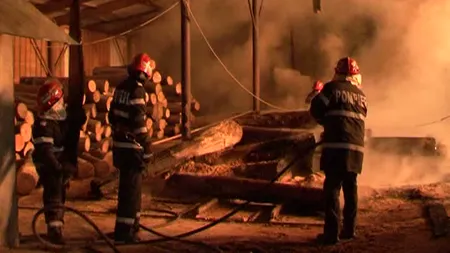 Incendiu devastatator la Timişoara. Un depozit de lemne s-a făcut scrum VIDEO