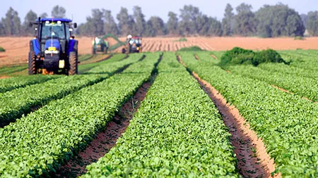 Parlamentul European a votat în favoarea unei agriculturi mai ecologice