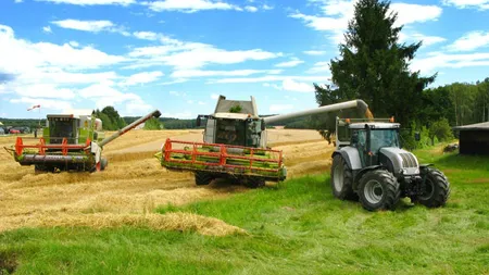 România are cea mai mare producţie de grâu şi secară din ultimii opt ani