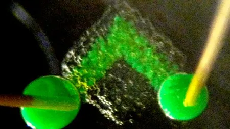 Materiale sintetice asemănătoare ţesuturilor vii, create cu o imprimantă 3D din apă şi ulei