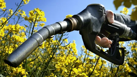 Europa poate converti deşeurile în biocarburanţi
