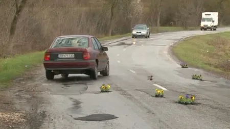 Protest cu flori: Şoferii au plantat panseluţe în 