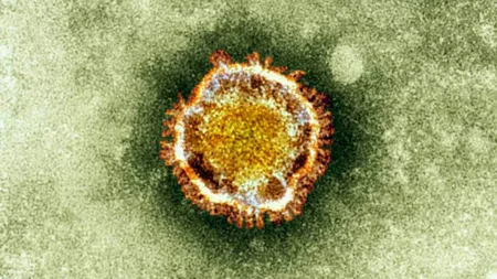 Două noi cazuri de infecţie cu coronavirus au fost confirmate în Arabia Saudită
