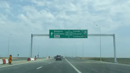 Apariţie INEDITĂ pe Autostrada Soarelui. Un CÂINE se îndreaptă spre mare cu 120 km/h VIDEO