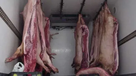 Peste 1.500 de sancţiuni date de Poliţie după controale la transporturile de carne şi animale vii