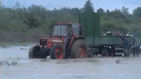 Pompierii au salvat 70 de oi din apele învolburate ale râului Suceava VIDEO