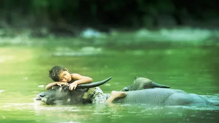 Impresionant. Poze perfecte, făcute în locul şi la momentul potrivit GALERIE FOTO