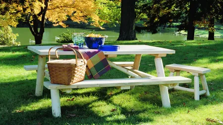 Atenţie unde faceţi picnic! Garda de Mediu controlează zonele de agrement