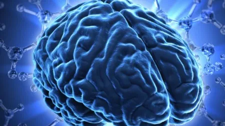 Boala Alzheimer şi autismul ar putea fi descifrate cu ajutorul unei proteine