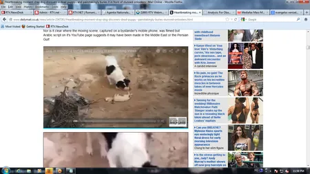 Gest NEMAIVĂZUT în lumea animalelor: O căţeluşă îşi înmormântează puiul lovit mortal de maşină VIDEO