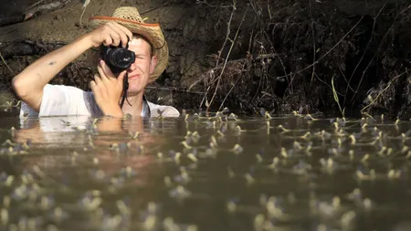 Milioane de insecte au invadat Râul Tisa din Ungaria FOTO