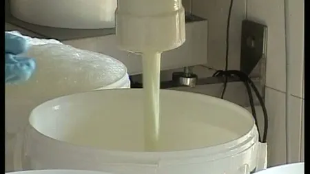 O nouă investiţie eşuată la Cluj-Napoca. Se închide fabrica de lactate Napolact