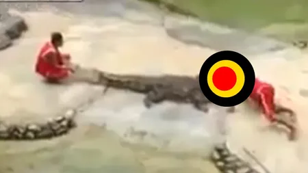 Şi-a învăţat lecţia: Ce se întâmplă atunci când bagi capul în gura unui CROCODIL VIDEO