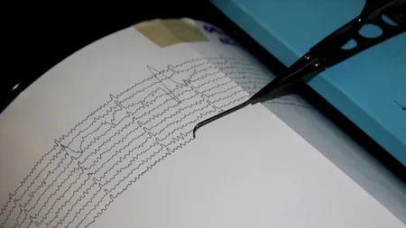 Un cutremur s-a produs vineri dimineaţă în Vrancea