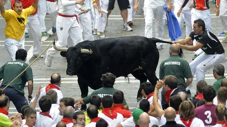 Pamplona: 21 de răniţi în a 7-a zi a curselor cu tauri