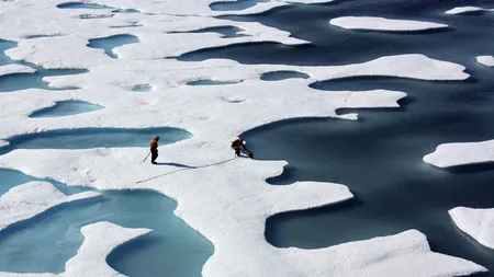 Topirea gheţii Oceanului Arctic va cauza costuri la nivel global de 60.000 de miliarde dolari