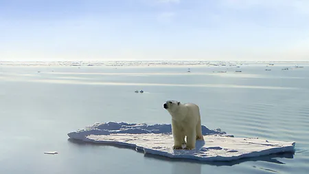 Record de emisii de dioxid de carbon şi de topire a gheţarilor arctici, în anul 2012