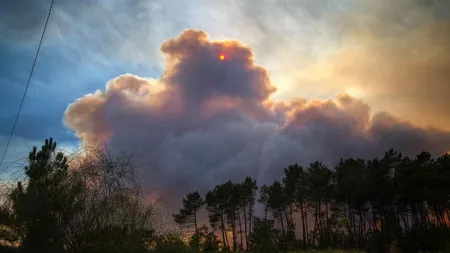 Incendii în Portugalia: Sute de pompieri au fost mobilizaţi pentru stingerea focului