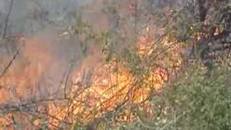 Incendiu PUTERNIC în Parcul Naţional Domogled. Pompierii se chinuie de cinci zile să-l lichideze