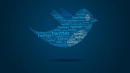 Twitter a cumpărat o societate specializată în reţele sociale şi TV