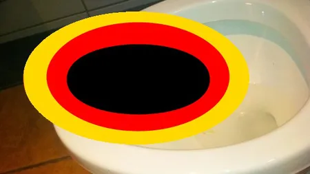 Nu i-a venit să creadă ce a găsit în vasul de TOALETĂ: Nu o să mai merg niciodată la BAIE, îmi este frică FOTO