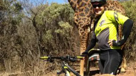 Reacţia unei GIRAFE care nu a vrut să se lase fotografiată alături de un BICICLIST INSISTENT VIDEO