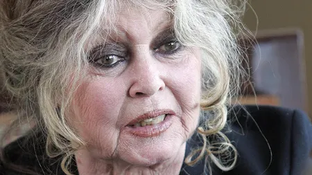 Fundaţia Brigitte Bardot studiază recursurile posibile la legea privind câinii maidanezi din România