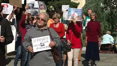 PROTEST împotriva eutanasierii maidanezilor în Capitală VIDEO