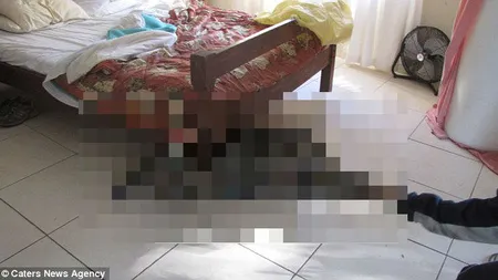 Surpriza de la hotel: Un turist a descoperit că a dormit în cameră cu un ditamai monstrul FOTO