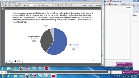 SONDAJ: Românii susţin eutanasierea câinilor maidanezi