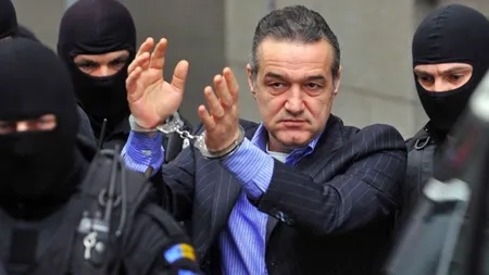 DECIZIA magistraţilor în privinţa GRAŢIERII lui Gigi Becali