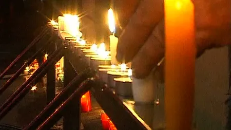 Lumânări aprinse în faţa Primăriei Timişoara pentru maidanezii care vor fi eutanasiaţi