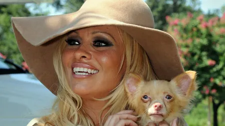 Brigitte Bardot şi Pamela Anderson vor intervenţia Consiliului European în România pe tema câinilor