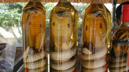 O chinezoaică a fost muşcată de un şarpe 