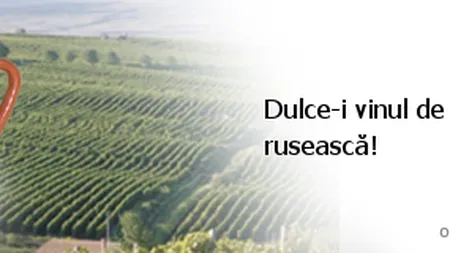 Susţine Moldova. Campanie amuzantă şi interactivă împotriva embargoului rus