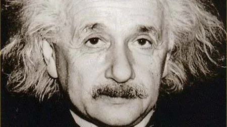 O omidă seamănă perfect cu...Albert Einstein! FOTO