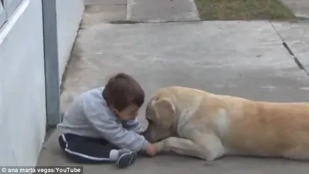 Moment înduioşător: Cum reuşeşte să se împrietenească un căţel cu un copil cu sindromul Down VIDEO