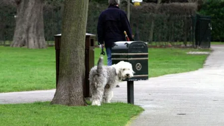 STUDIU: Animalele de companie îmbunătăţesc viaţa persoanelor cu probleme mintale