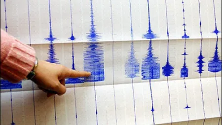 Japonia vine în ajutorul României pentru studierea fenomenelor seismice din ţara noastră