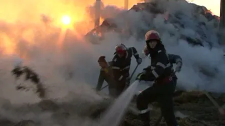 Incendiu de proporţii la o fermă de animale din judeţul Suceava: Un depozit de furaje a luat foc