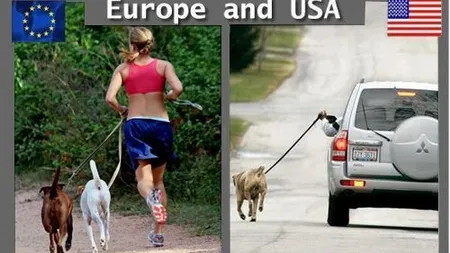 Ce ar avea de ÎNVĂŢAT americanii de la europeni GALERIE FOTO