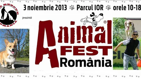 Animal Fest România: Demonstraţii de dresaj, concursuri şi adopţii de câini, la prima ediţie