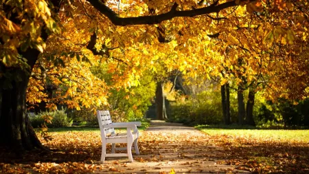 PROGNOZA METEO pe trei zile: Ne bucurăm de ultimele zile de toamnă blândă